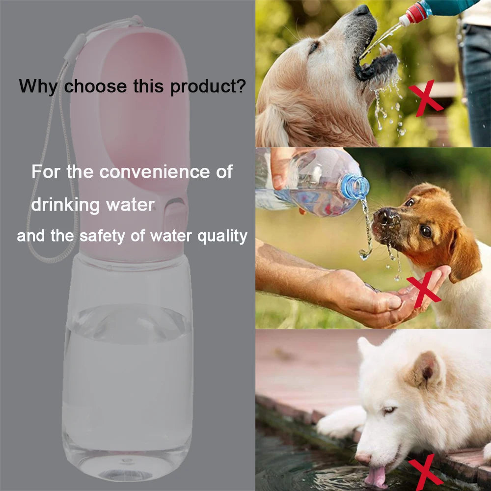 Portable Pet Water Bottle with Lanyard