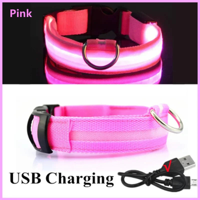 Rechargeable LED Dog Collar – 3-Mode Night Safety Light
