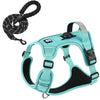 Reflective Dog Harness & Leash Set with Tracker Holder