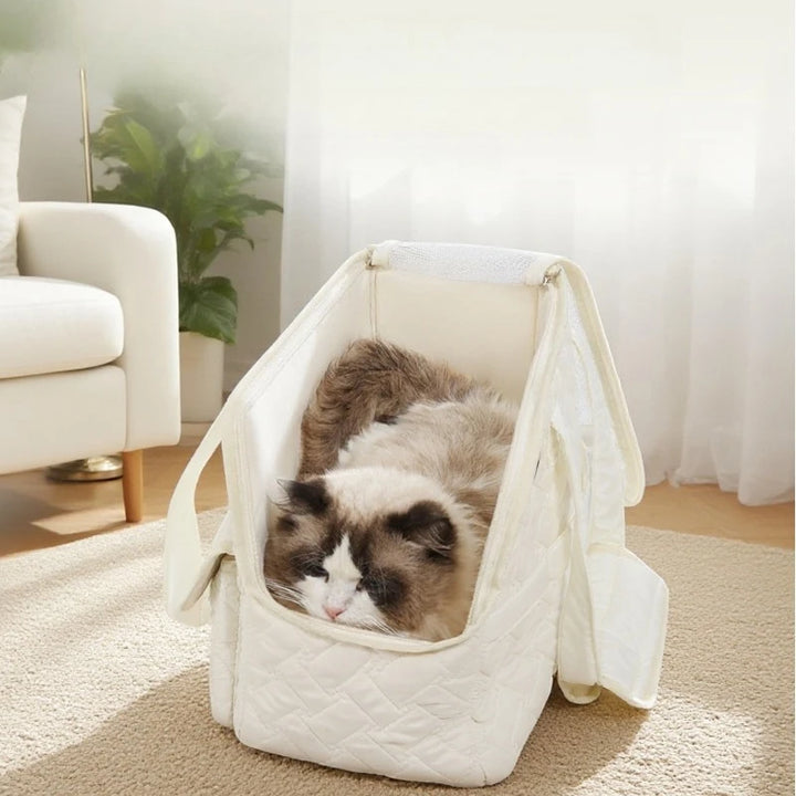Breathable Mesh Pet Travel Tote Bag