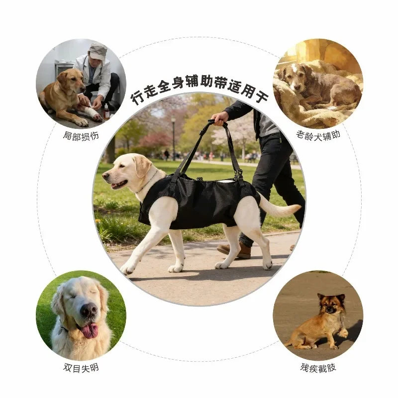 Adjustable Dog Carrier Backpack