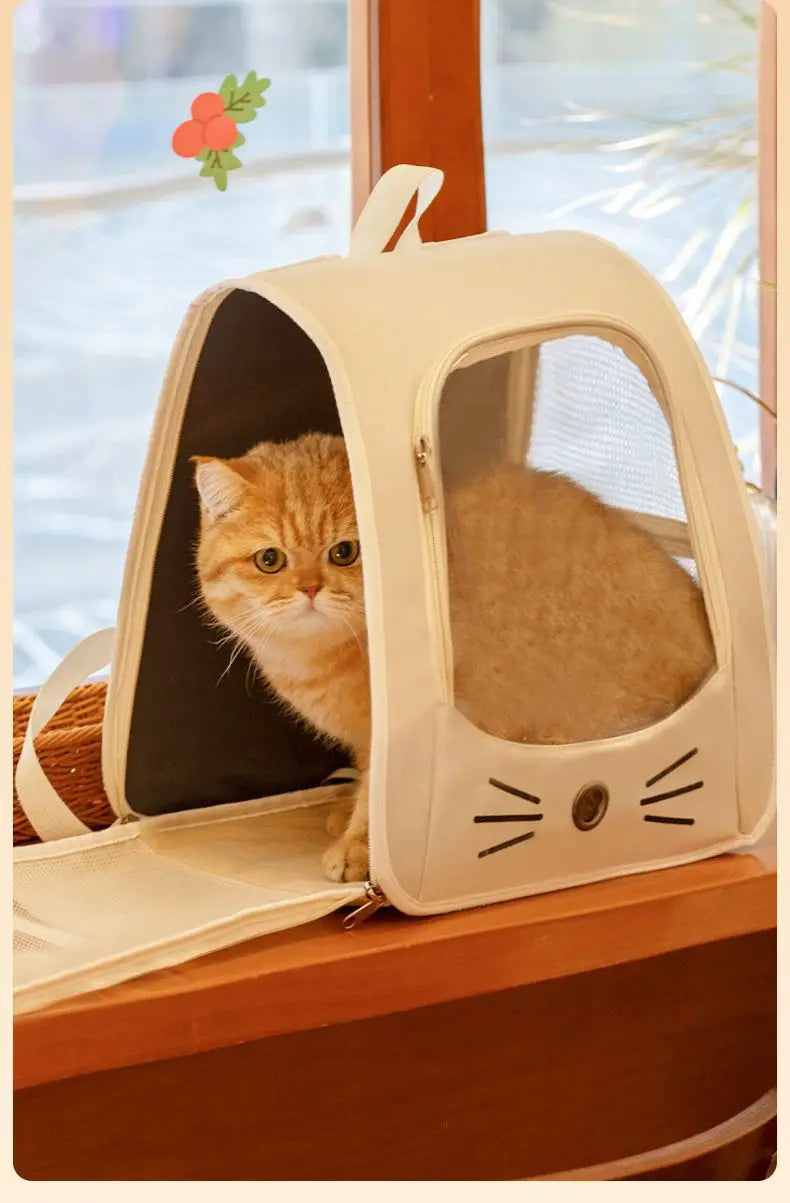 Foldable Cat Carrier Backpack – Transparent Window