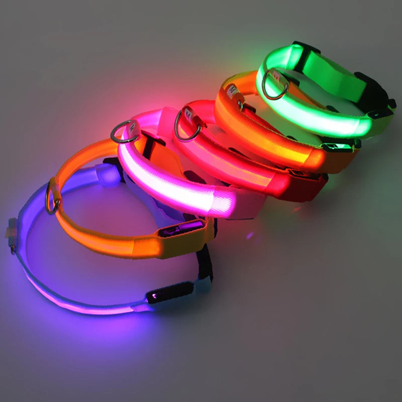 Rechargeable LED Dog Collar – 3-Mode Night Safety Light