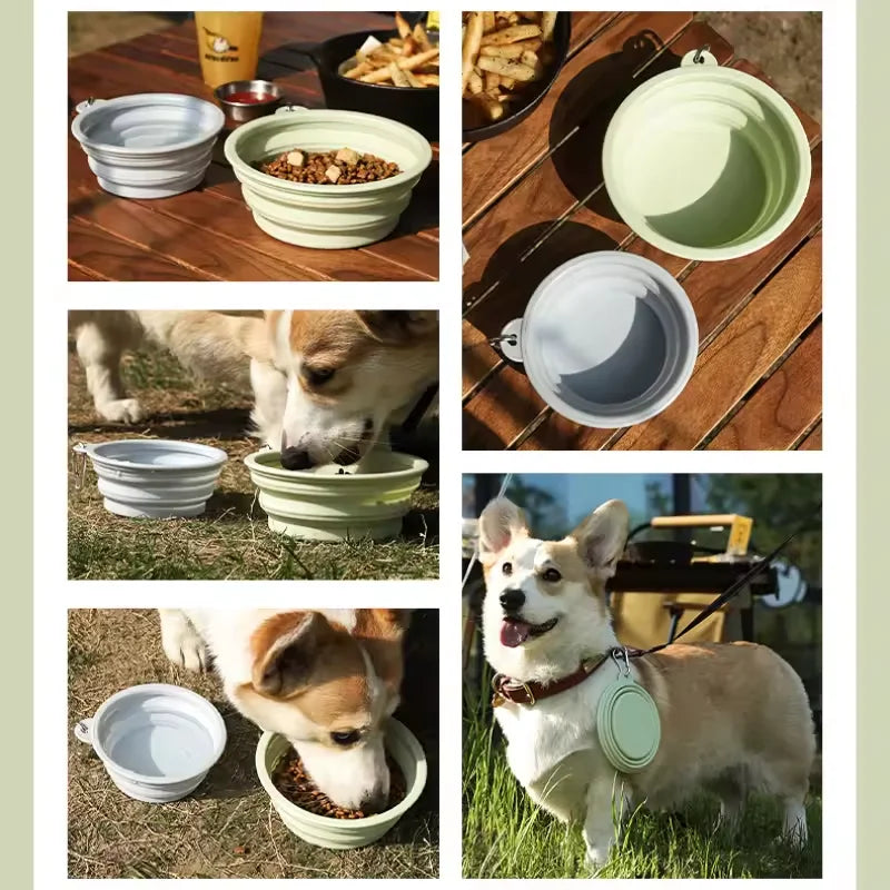 Foldable Silicone Travel Pet Bowl