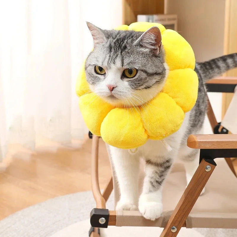 Soft Recovery Collar – Anti-Bite Cone for Cats & Dogs