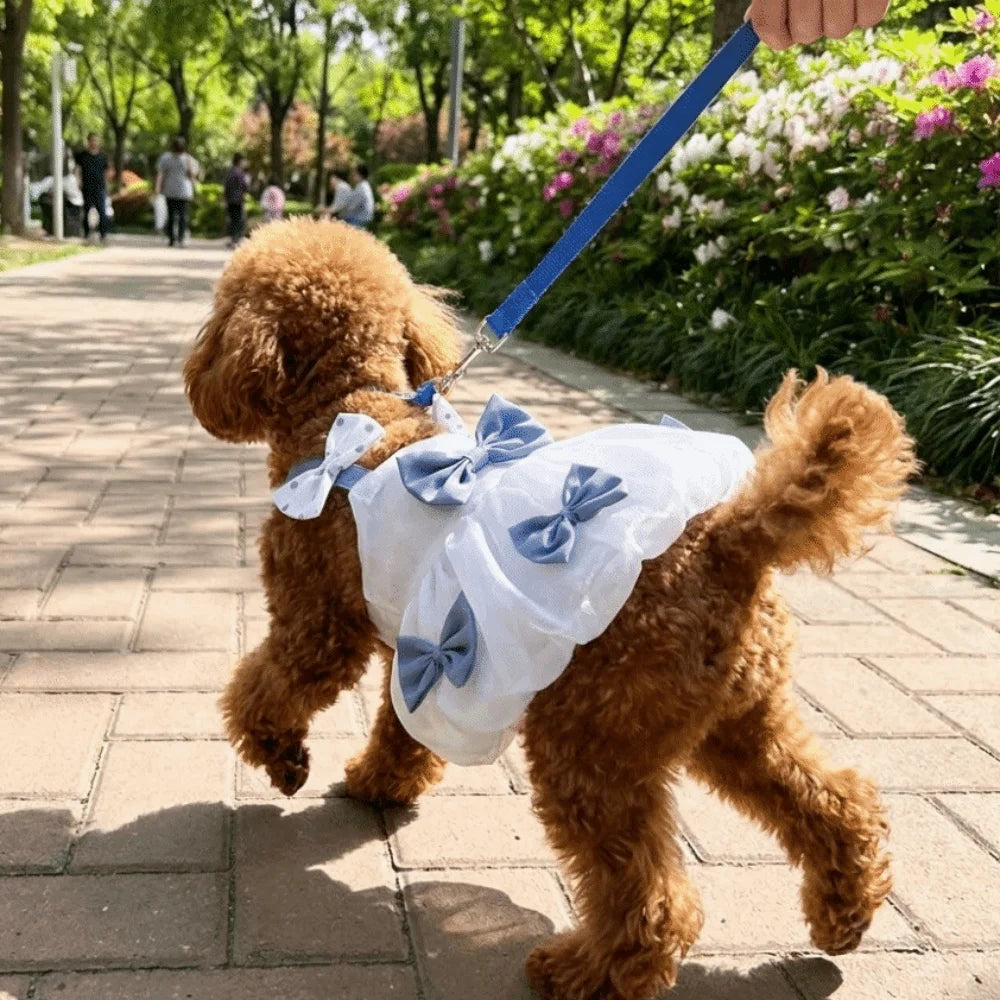 Breathable Lace Princess Dog Dress