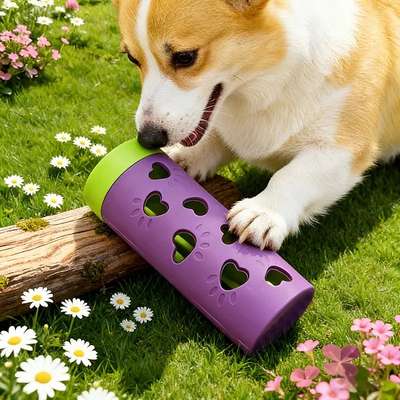 Interactive Slow Feeder Treat Dispenser