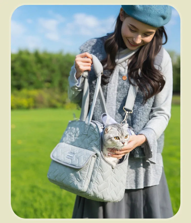 Breathable Mesh Pet Travel Tote Bag