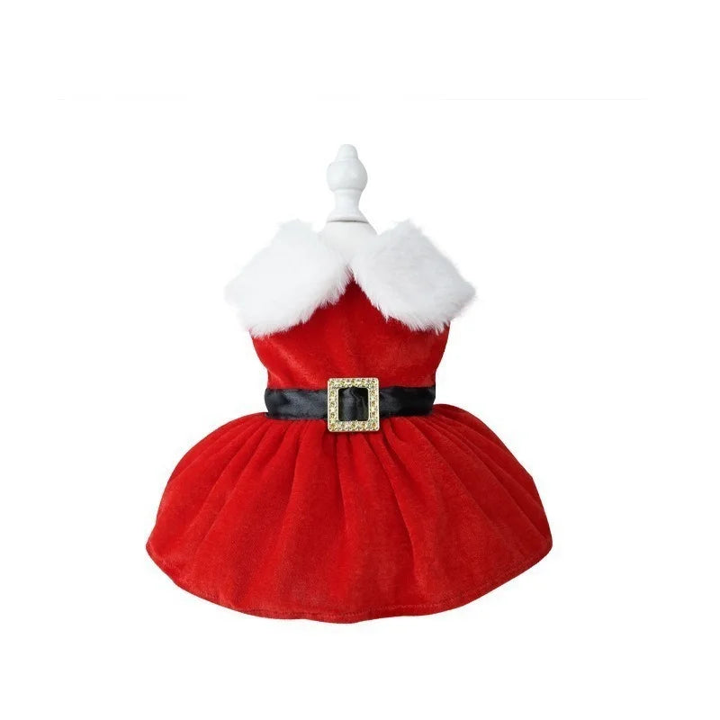 Gold Velvet Christmas Dog Dress