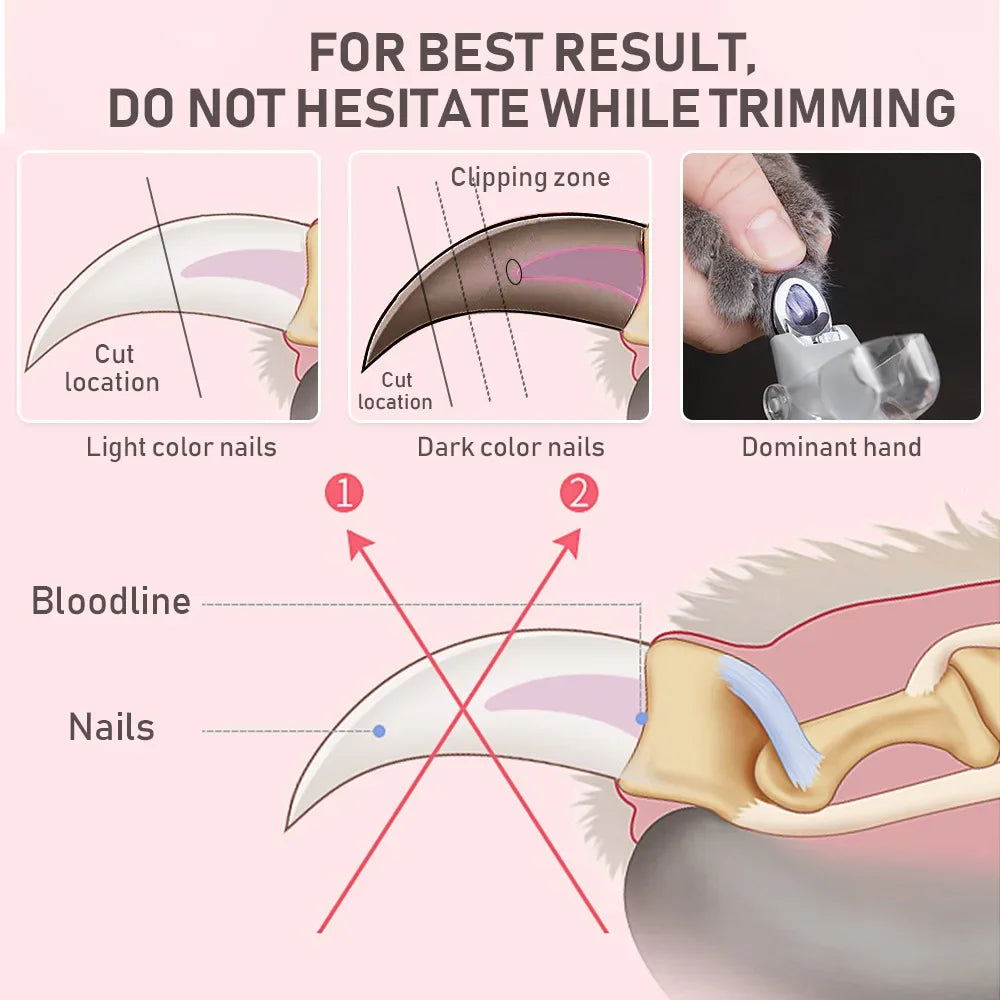Pet Nail Clipper Scissors with LED Light