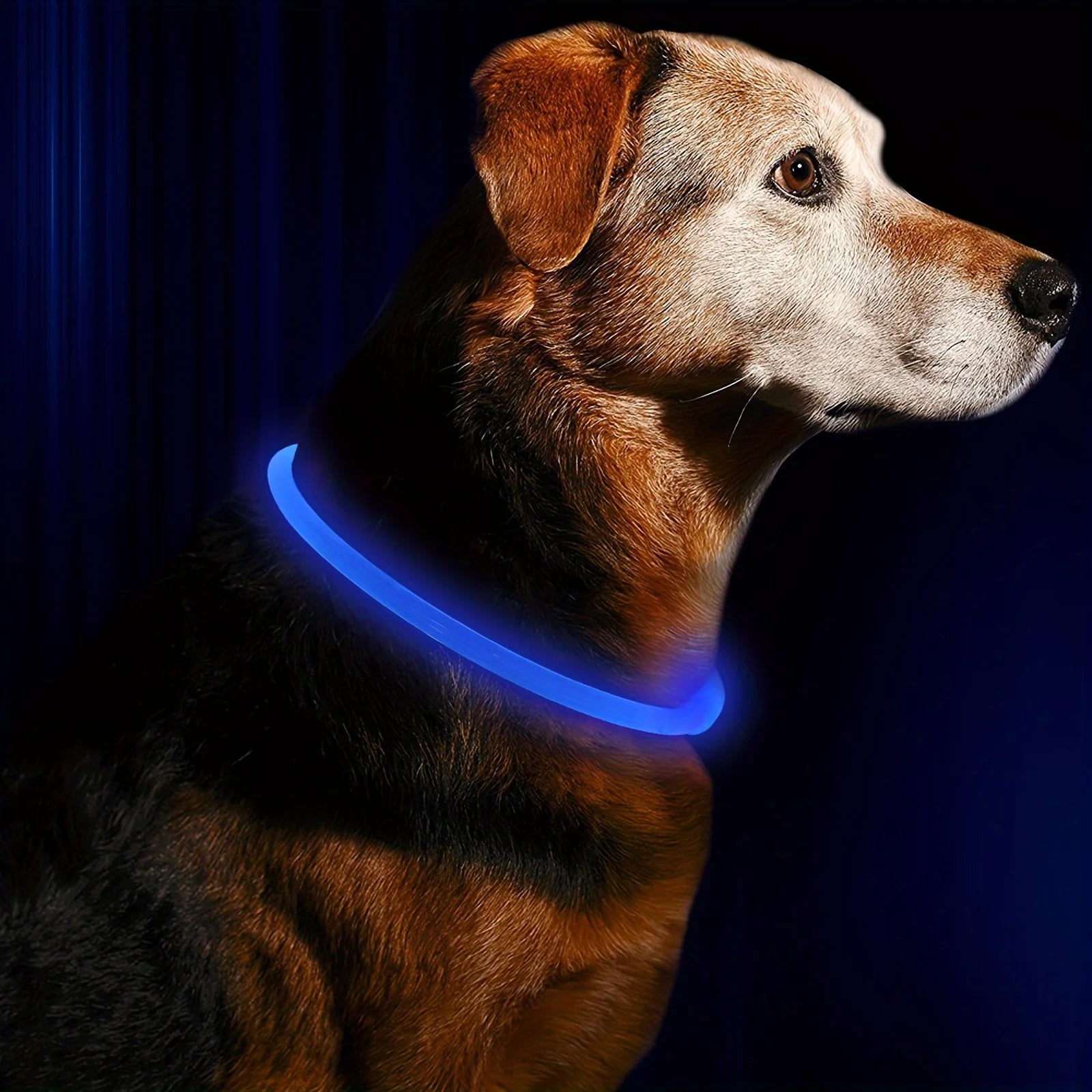 LED Anti-Lost Dog Collar – USB Rechargeable Light