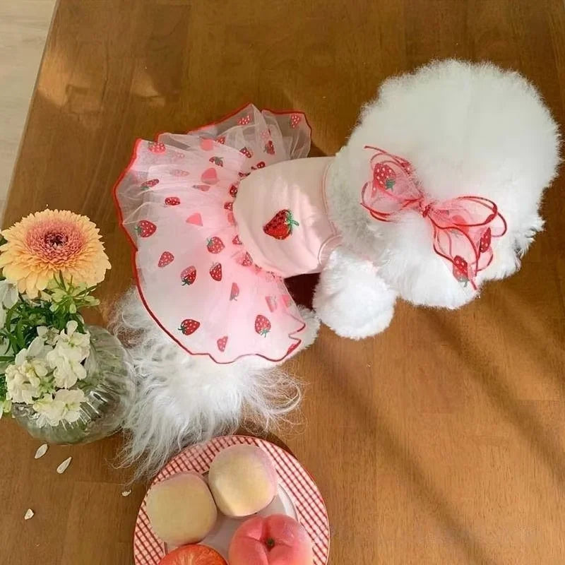 Strawberry Tutu Dress with Headband