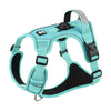 Reflective Dog Harness & Leash Set with Tracker Holder