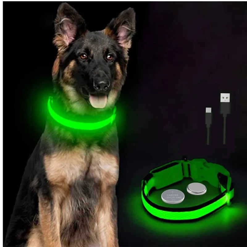 Rechargeable LED Dog Collar – 3-Mode Night Safety Light