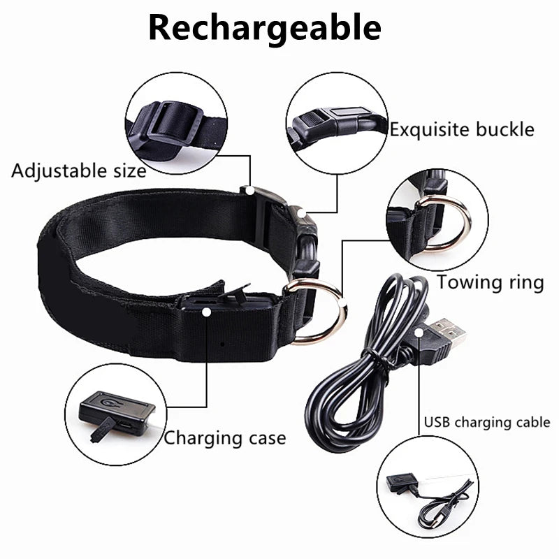 Rechargeable LED Dog Collar – 3-Mode Night Safety Light