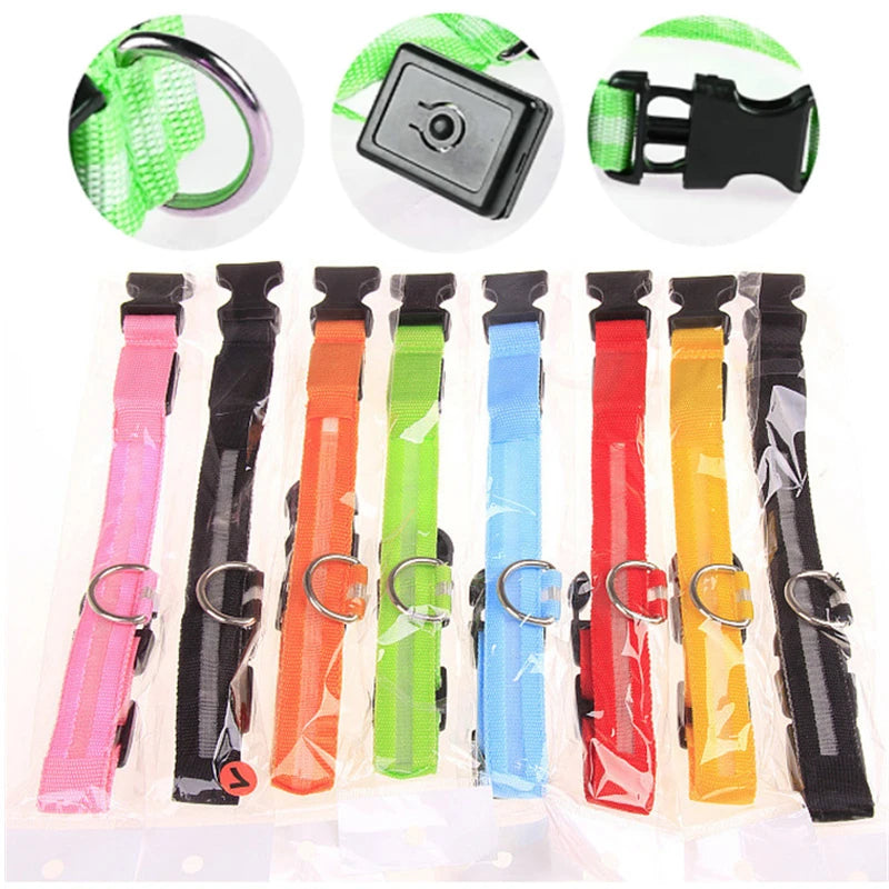 Rechargeable LED Dog Collar – 3-Mode Night Safety Light