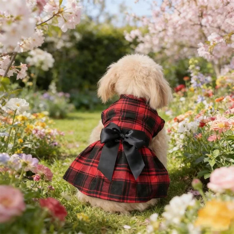 College Style Bow Dress for Pets