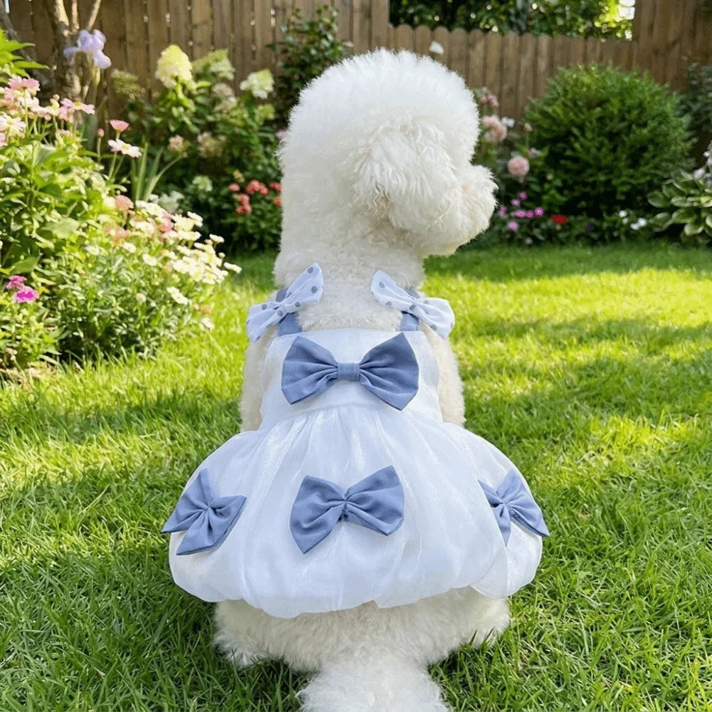 Breathable Lace Princess Dog Dress