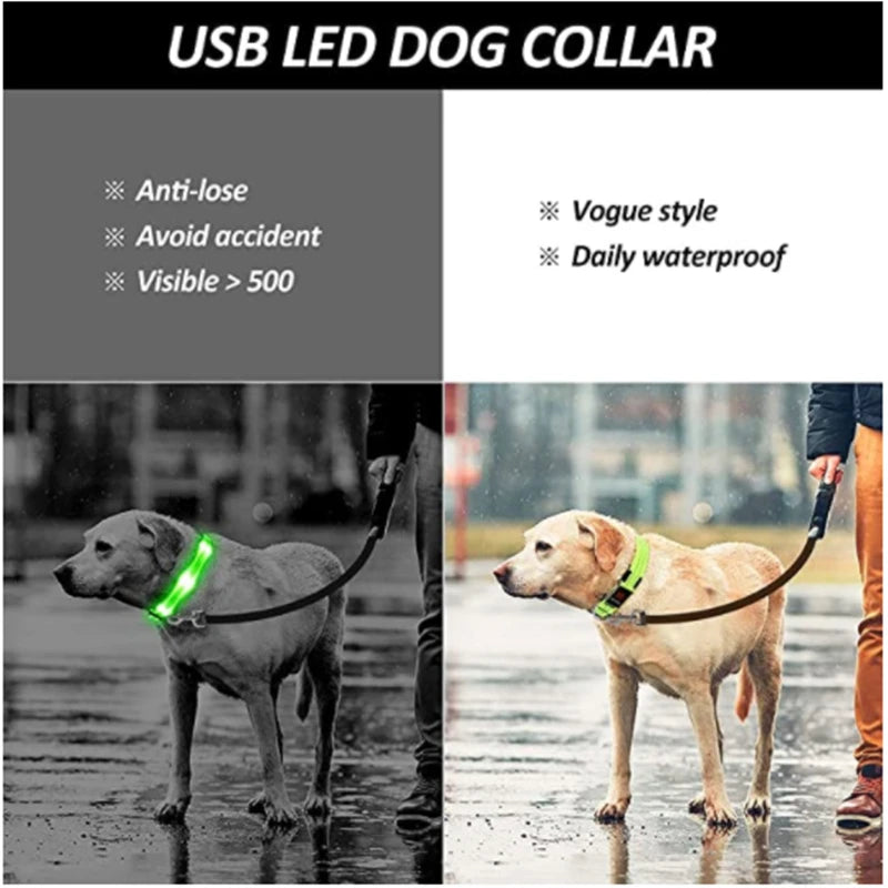 Rechargeable LED Dog Collar – 3-Mode Night Safety Light