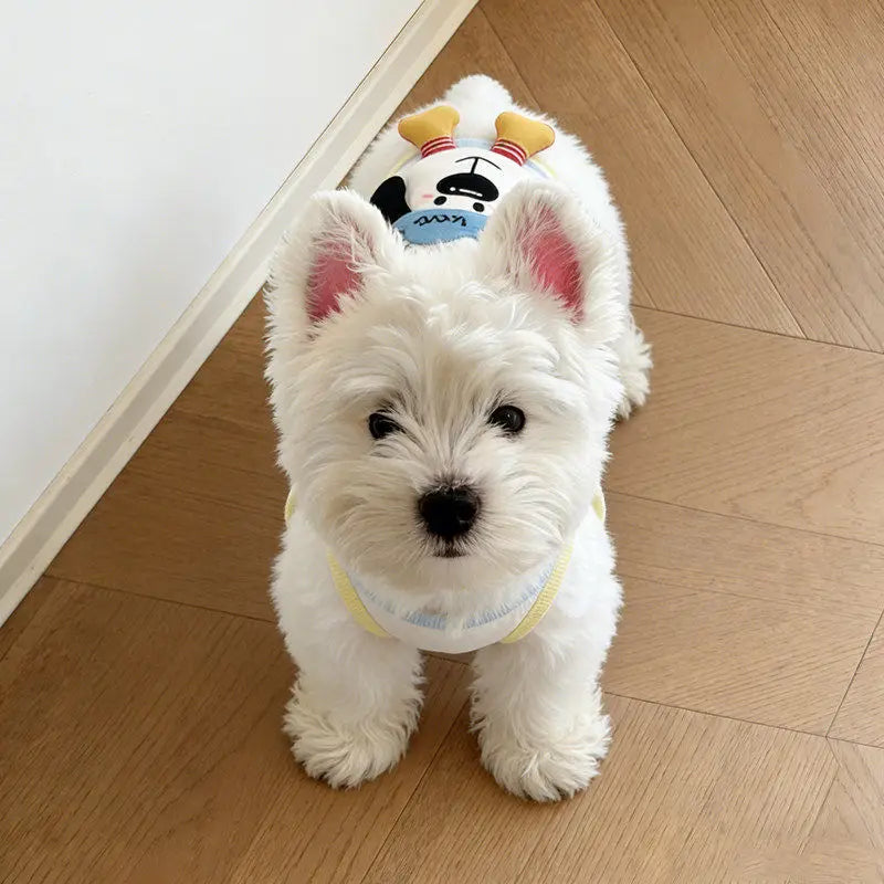 Ice Cream Print Pet Vest Dress