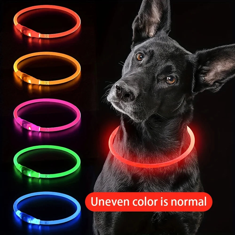 LED Anti-Lost Dog Collar – USB Rechargeable Light
