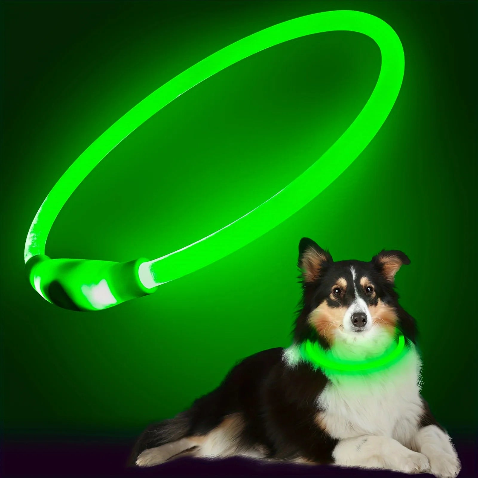 LED Anti-Lost Dog Collar – USB Rechargeable Light