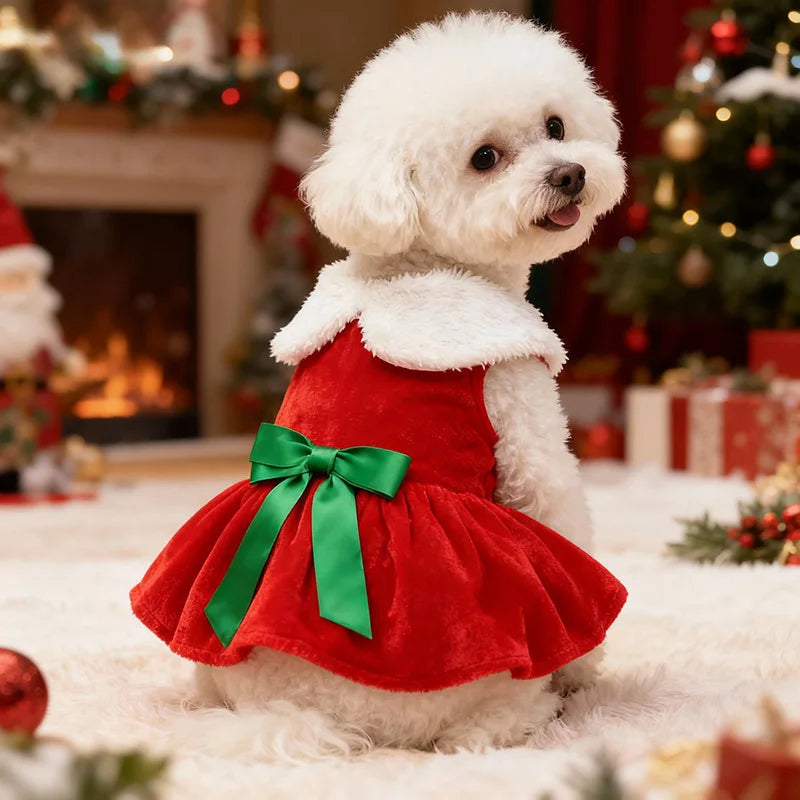 Gold Velvet Christmas Dog Dress