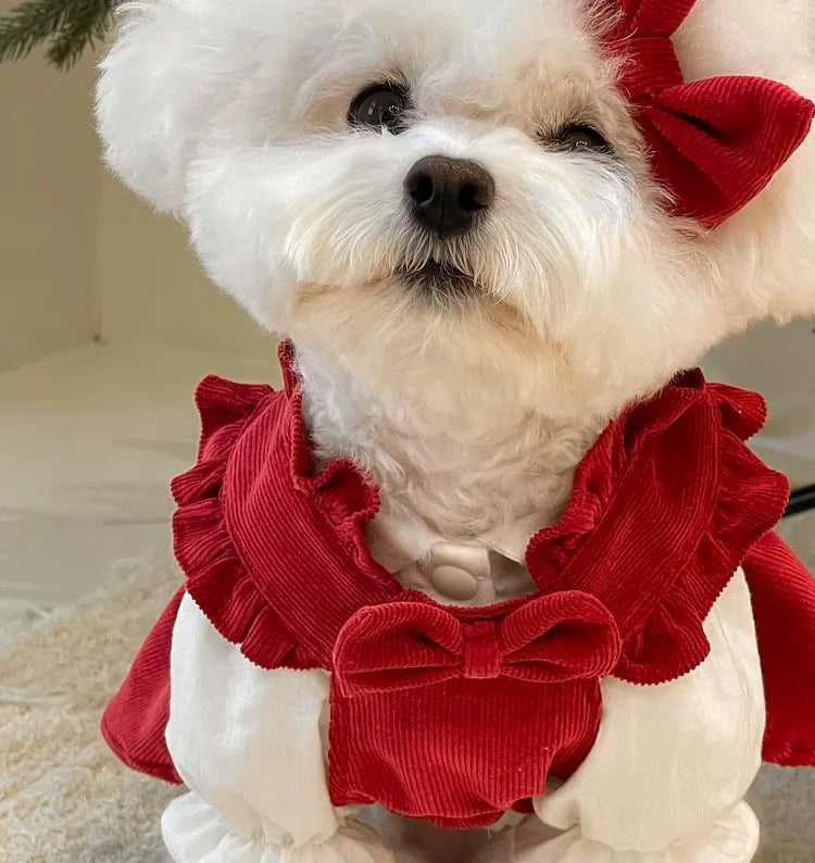 Winter Bow Dress Set for Dogs
