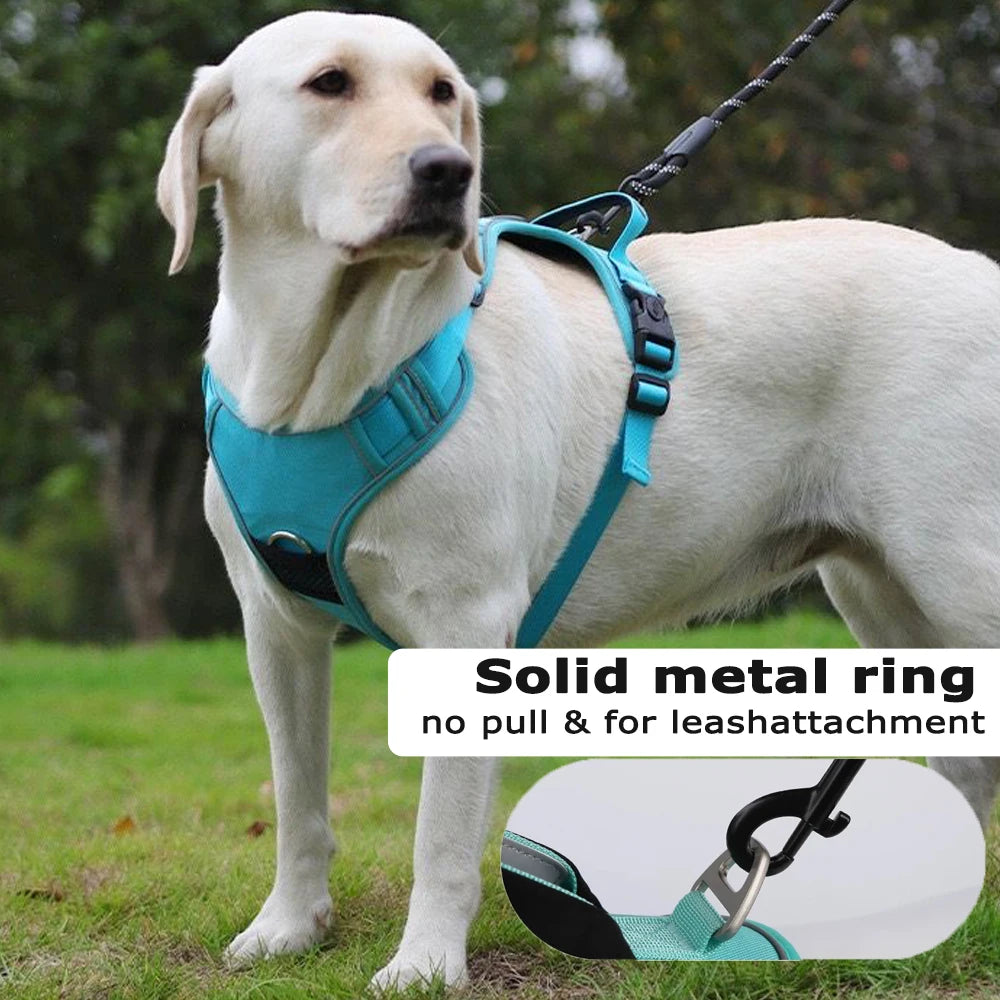 Reflective Dog Harness & Leash Set with Tracker Holder