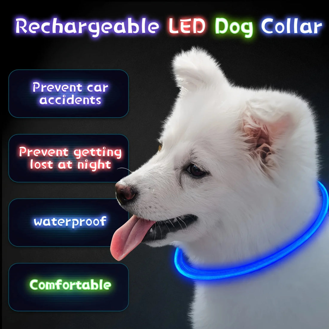 LED Anti-Lost Dog Collar – USB Rechargeable Light
