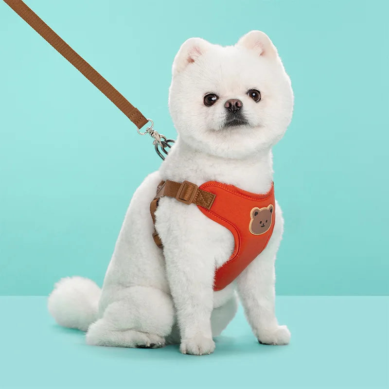 Breathable Dog Harness & Leash Set – Small Breeds