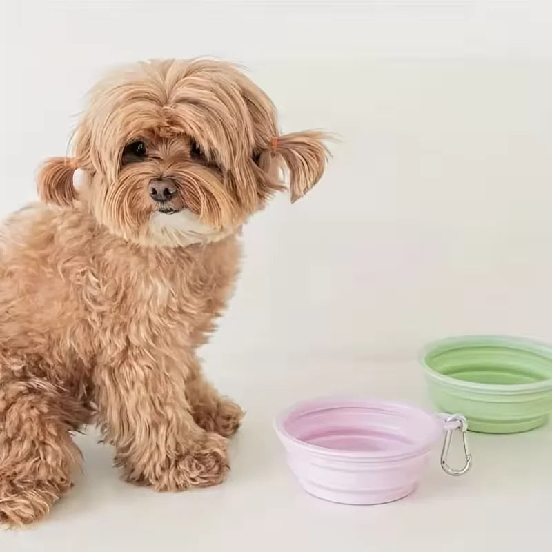 Foldable Silicone Travel Pet Bowl