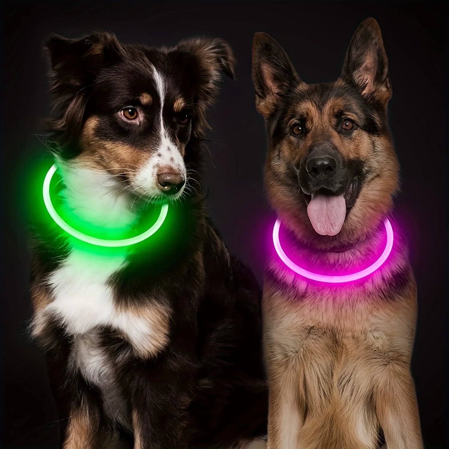 LED Anti-Lost Dog Collar – USB Rechargeable Light