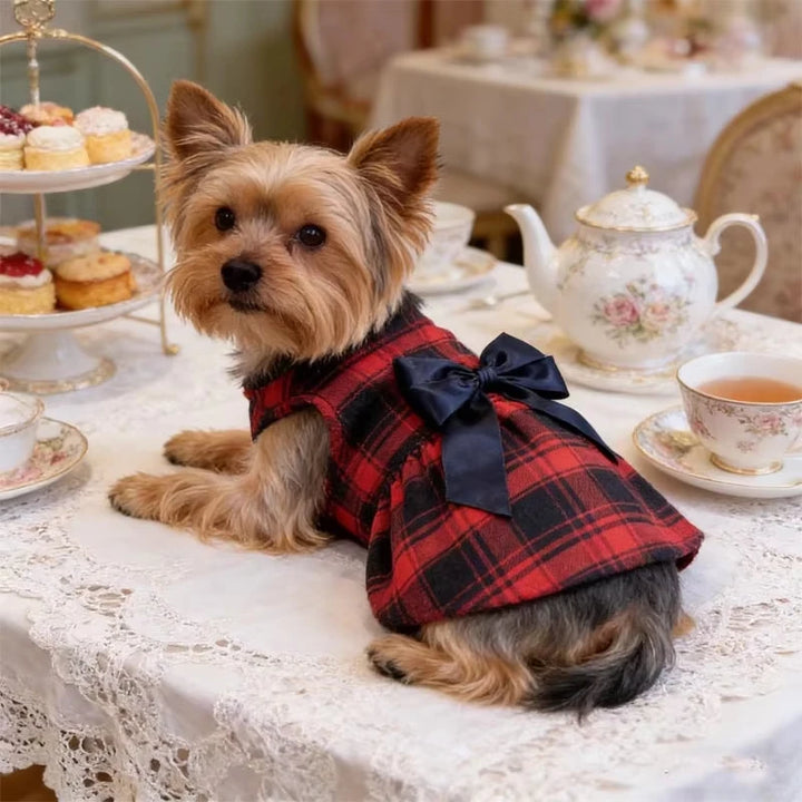 College Style Bow Dress for Pets