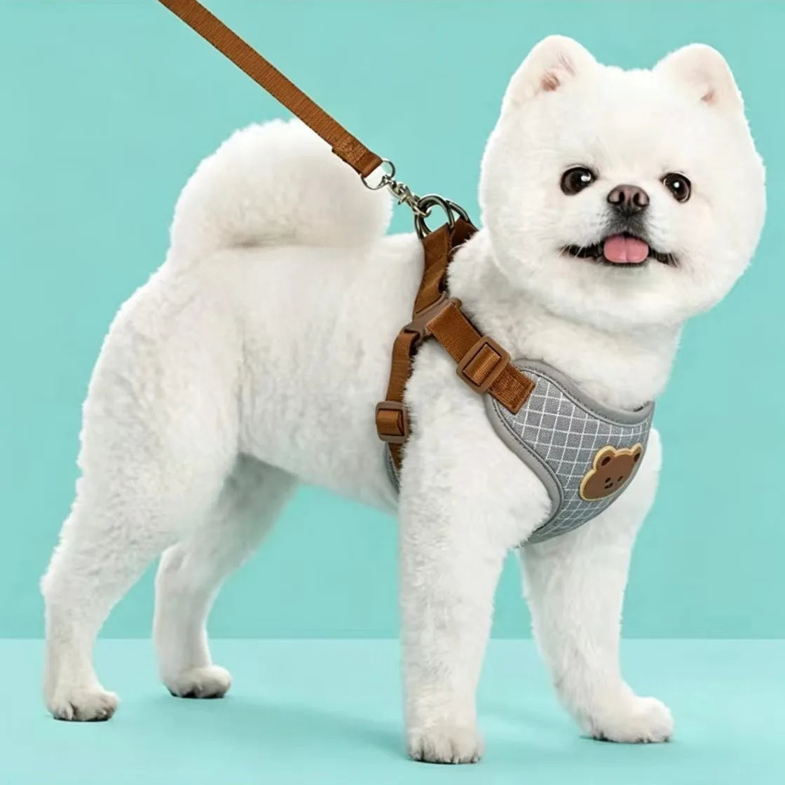 Breathable Dog Harness & Leash Set – Small Breeds