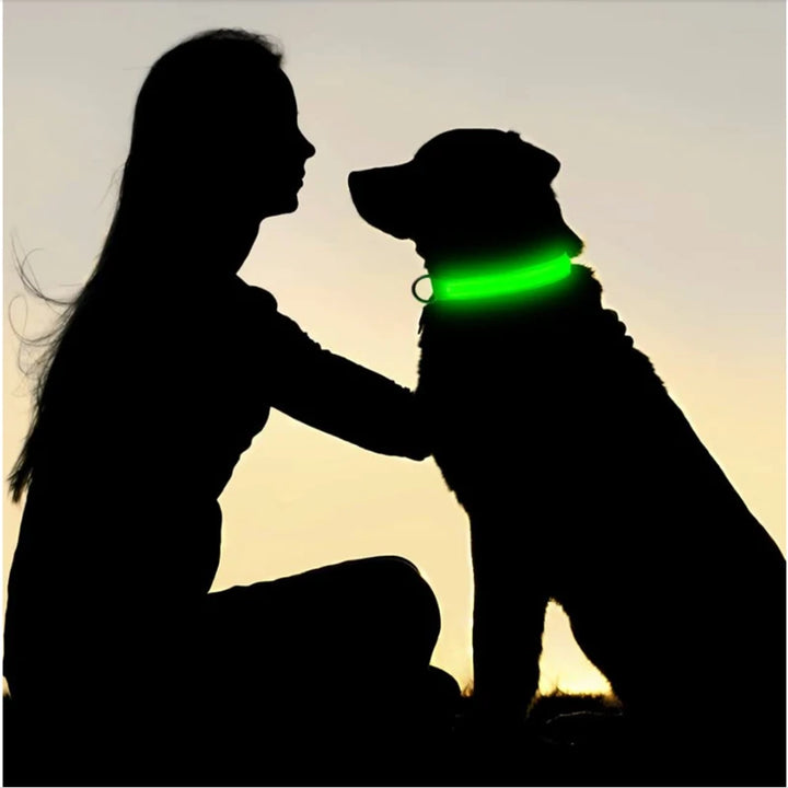 Rechargeable LED Dog Collar – 3-Mode Night Safety Light