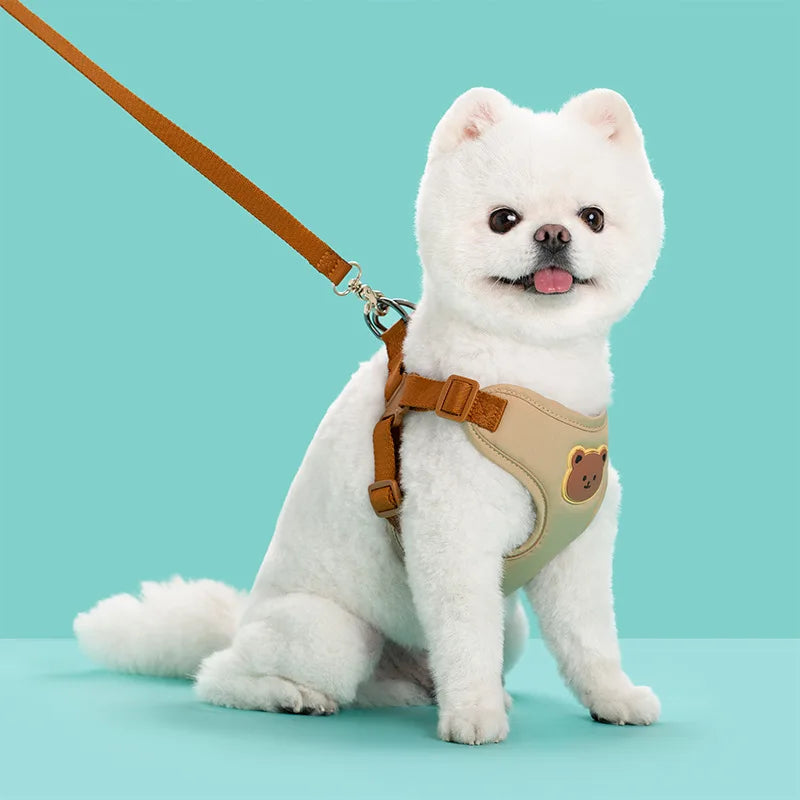 Breathable Dog Harness & Leash Set – Small Breeds