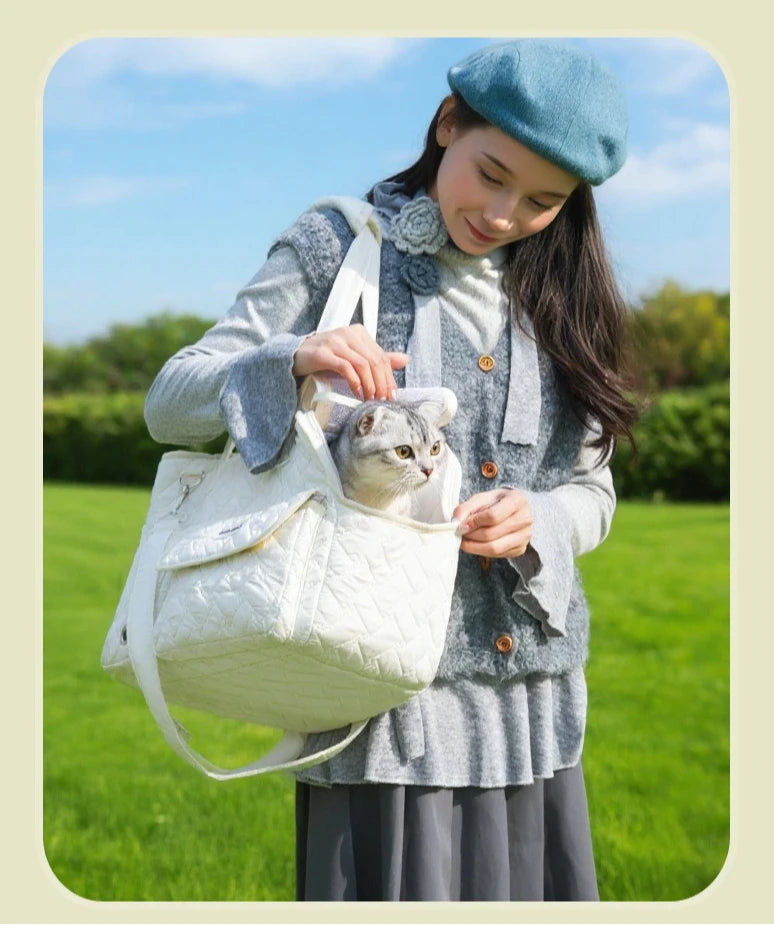 Breathable Mesh Pet Travel Tote Bag