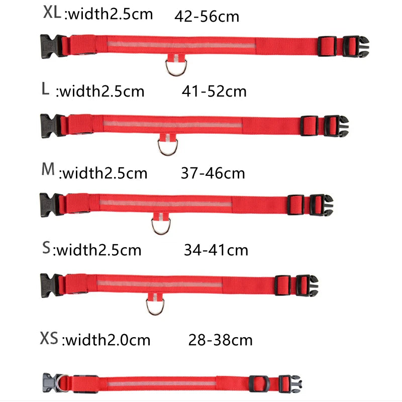 Rechargeable LED Dog Collar – 3-Mode Night Safety Light