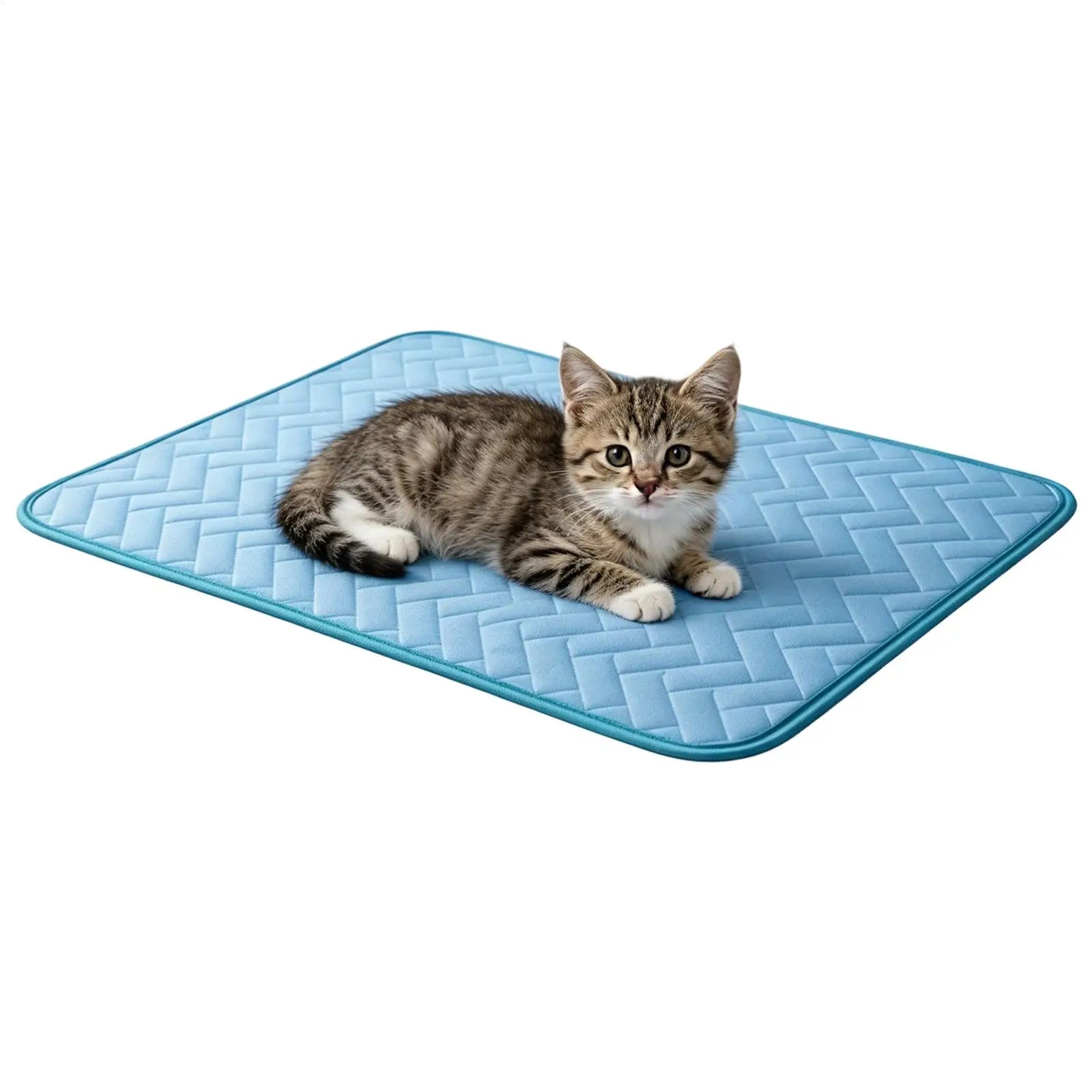 Dog Cooling Mat – Heat Relief Pad for Kennels & Crates