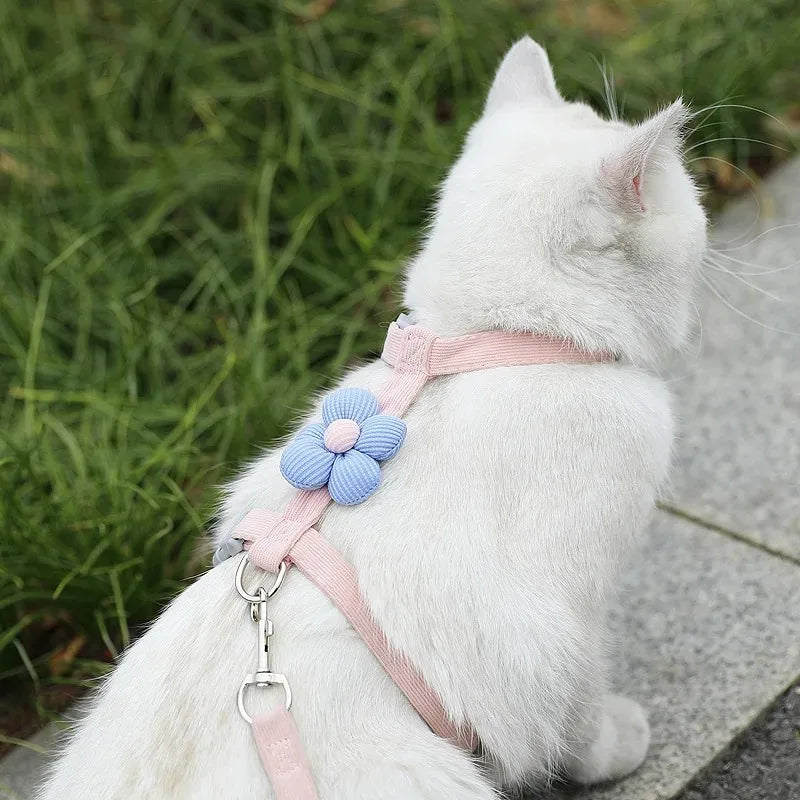 Adjustable Cat & Small Dog Harness and Leash Set