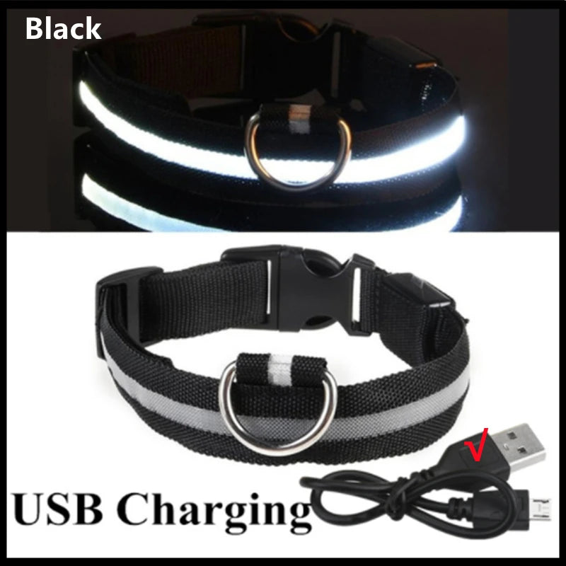Rechargeable LED Dog Collar – 3-Mode Night Safety Light