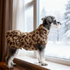 Leopard Fleece Winter Pet Dress