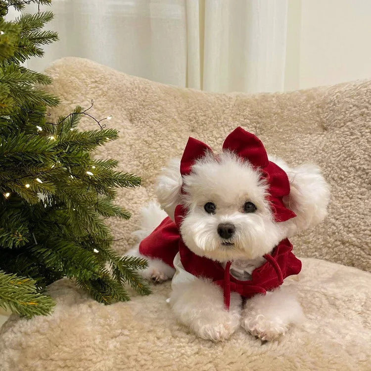 Winter Bow Dress Set for Dogs