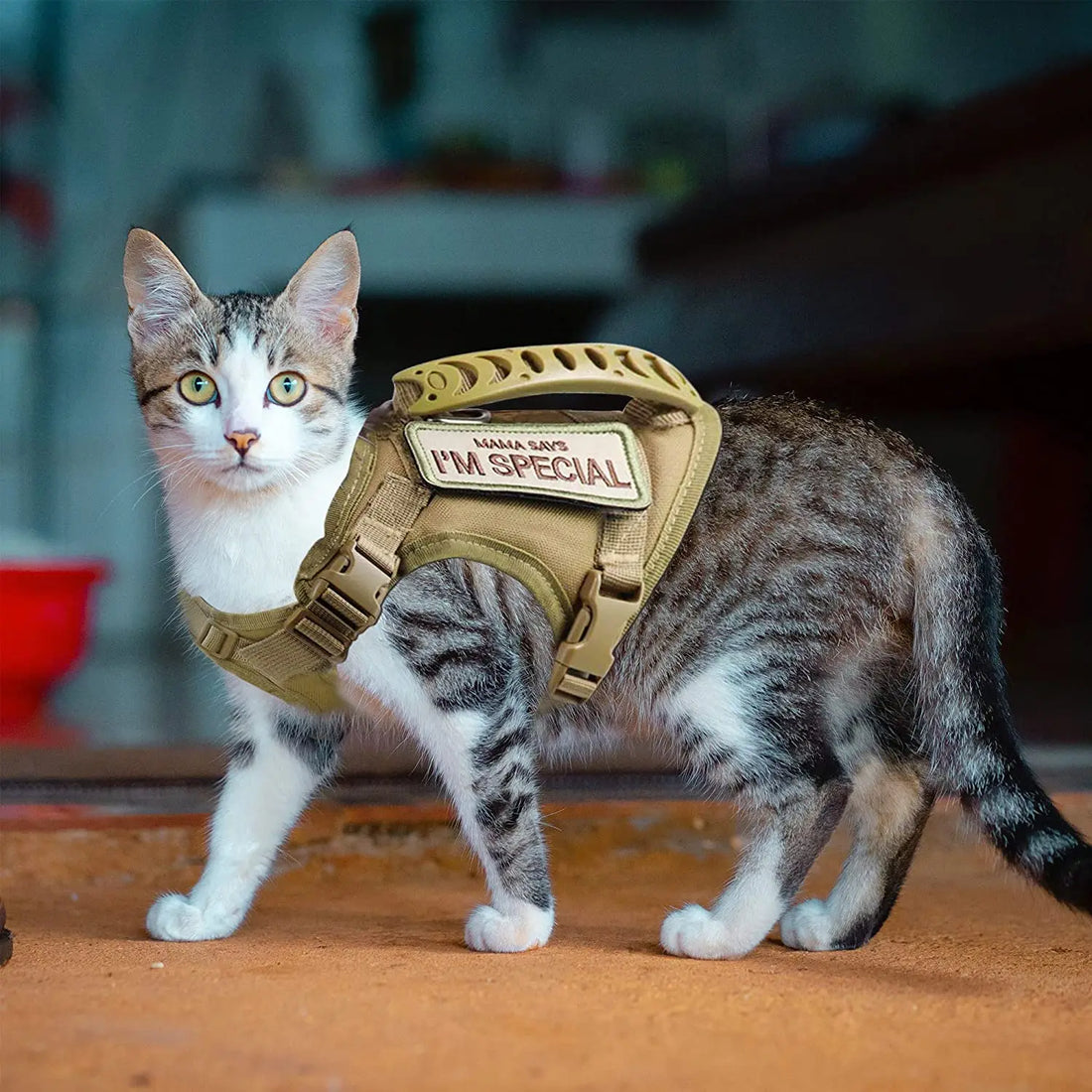 Escape-Proof Cat Harness – Soft Mesh Vest with Handle
