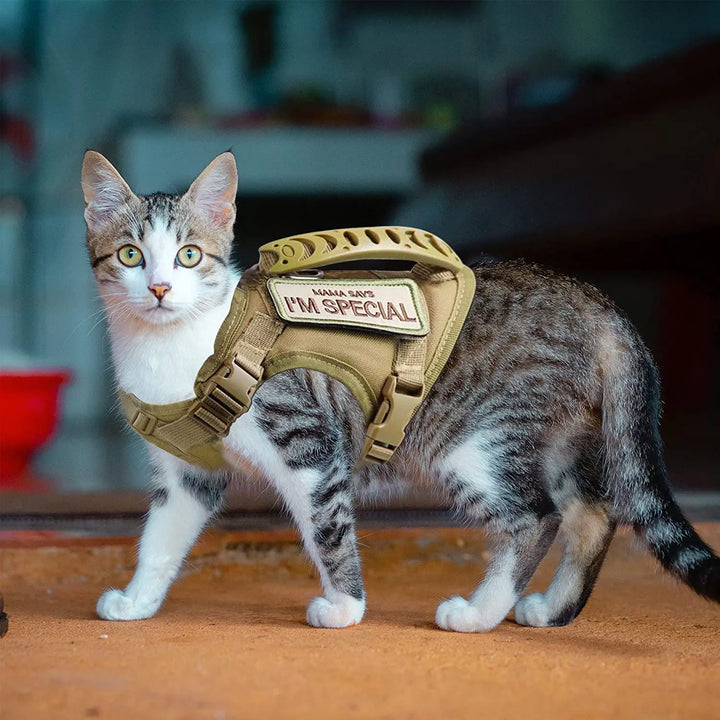 Escape-Proof Cat Harness – Soft Mesh Vest with Handle