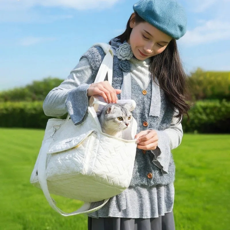 Breathable Mesh Pet Travel Tote Bag