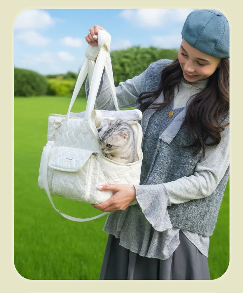 Breathable Mesh Pet Travel Tote Bag