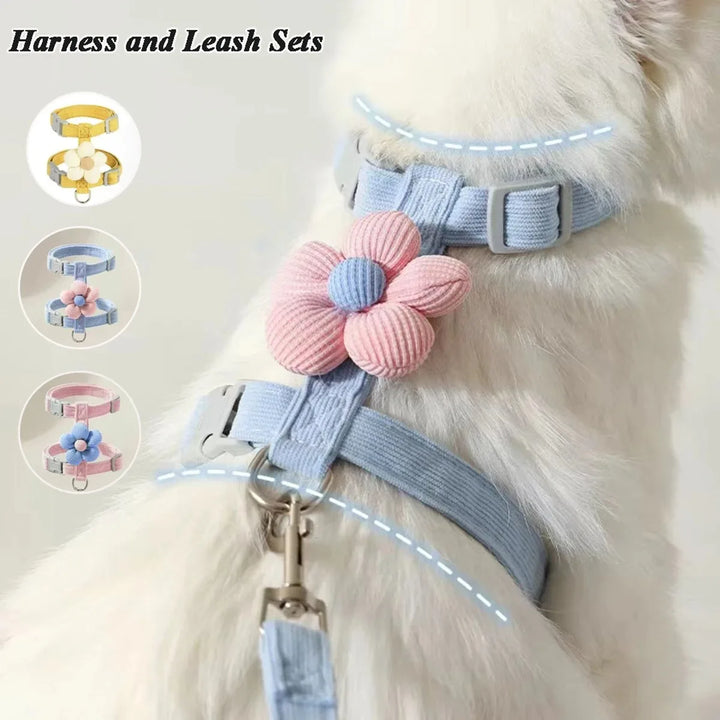 Adjustable Cat & Small Dog Harness and Leash Set
