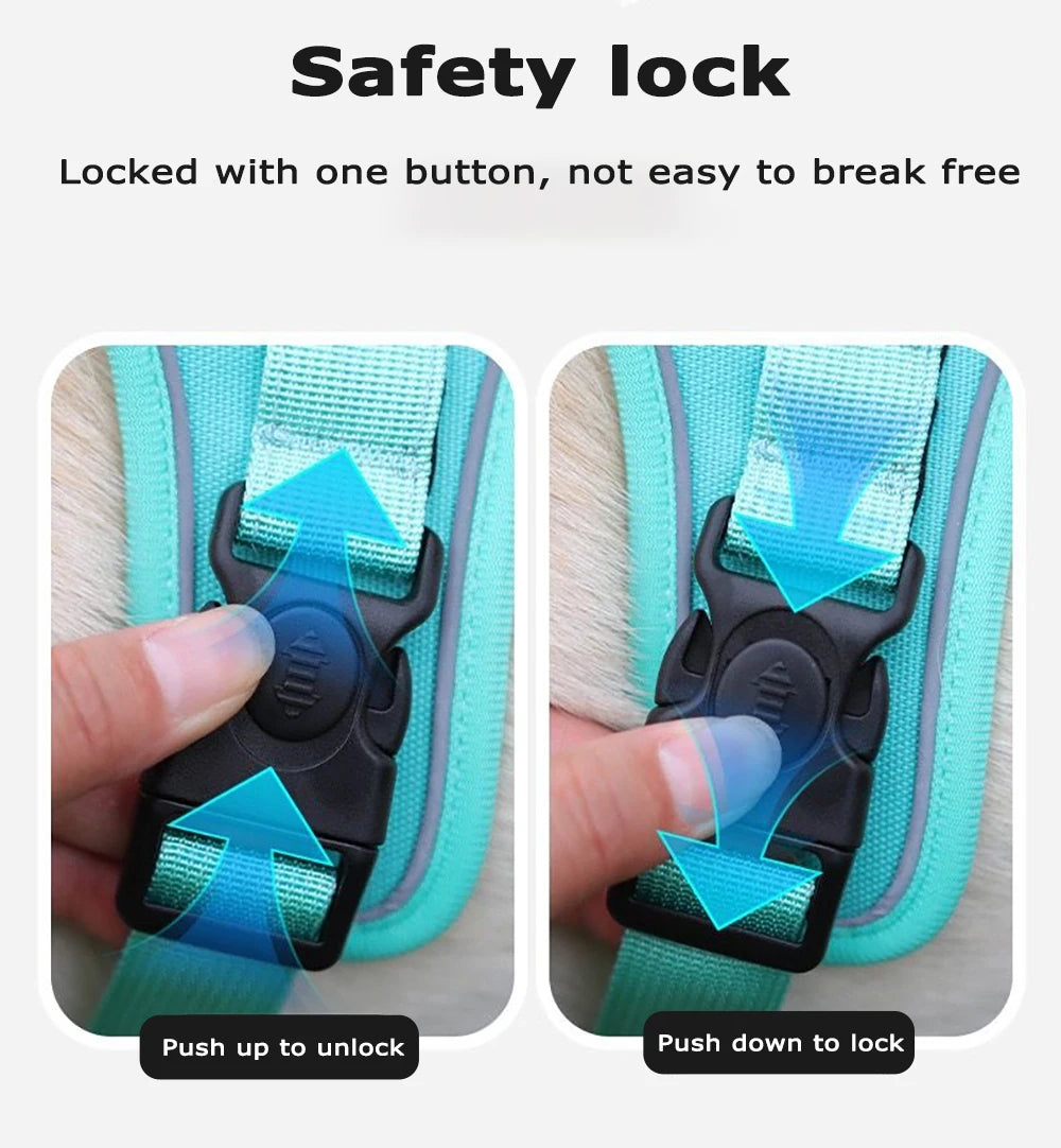 Reflective Dog Harness & Leash Set with Tracker Holder